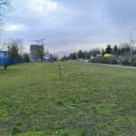 Zdjęcie terenu pod planowany wybieg dla psów